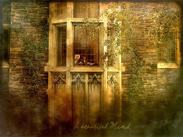 Akıl Oyunları Fotoğrafı